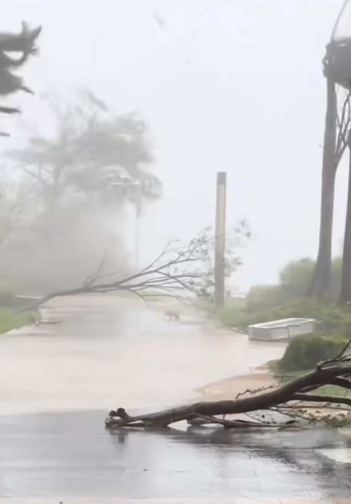 Ārā – lietus, sniegs vai vējš. Mums – sausas kājas un perfekts rezult...
